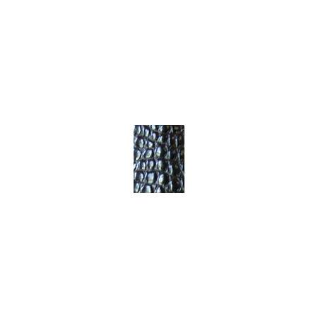 WS153b